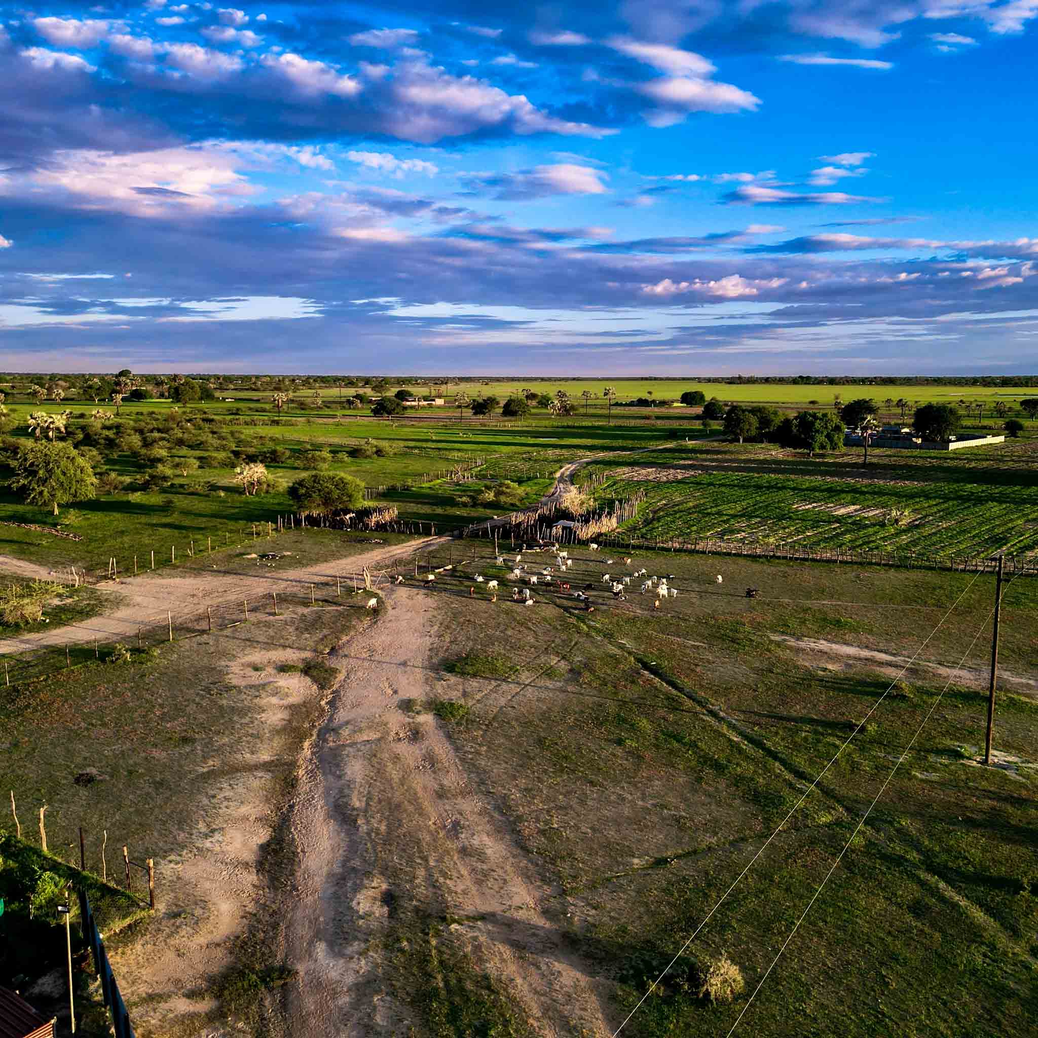 Bird’s eye view of a city skyline at dusk
